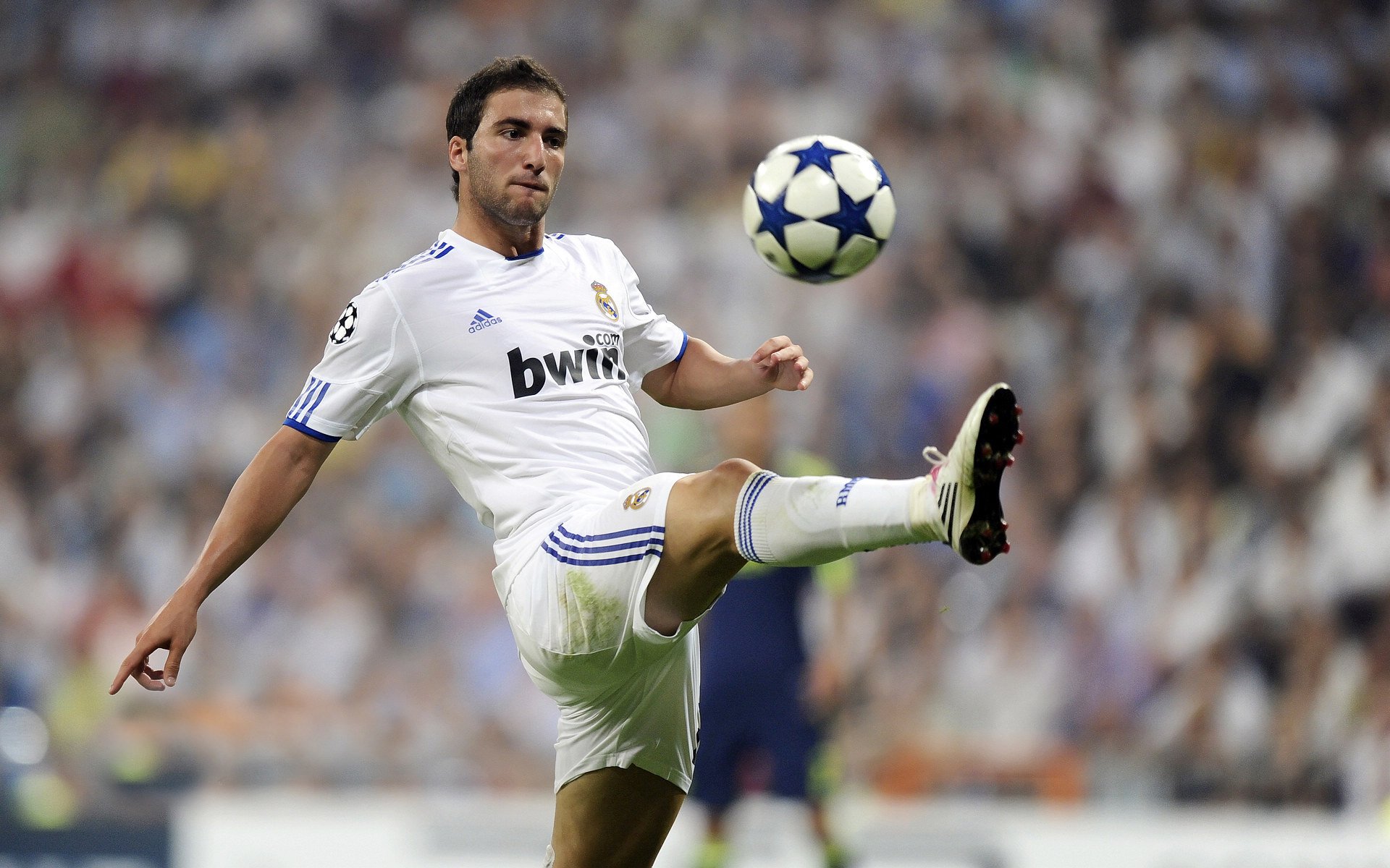 开云入口-伯纳乌的流星与恒星，当AC米兰新星闪耀，皇马巨星传射定乾坤，伯纳乌的流星与恒星，当AC米兰新星闪耀，皇马巨星传射定乾坤